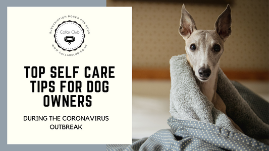 TOP SELF CARE TIPS FOR DOG OWNERS DURING THE CORONAVIRUS OUTBREAK