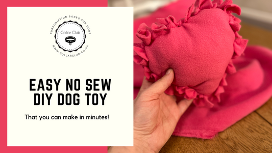 DIY No Sew Heart Shaped Dog Toy