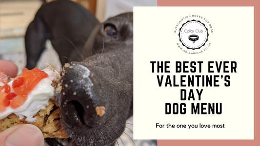 Collar Club Best Ever Natural Valentine's Recipe for Dogs