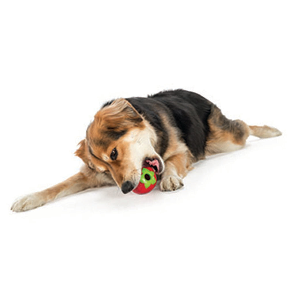 Planet Dog Orbee Tuff Fruit & Vegetables