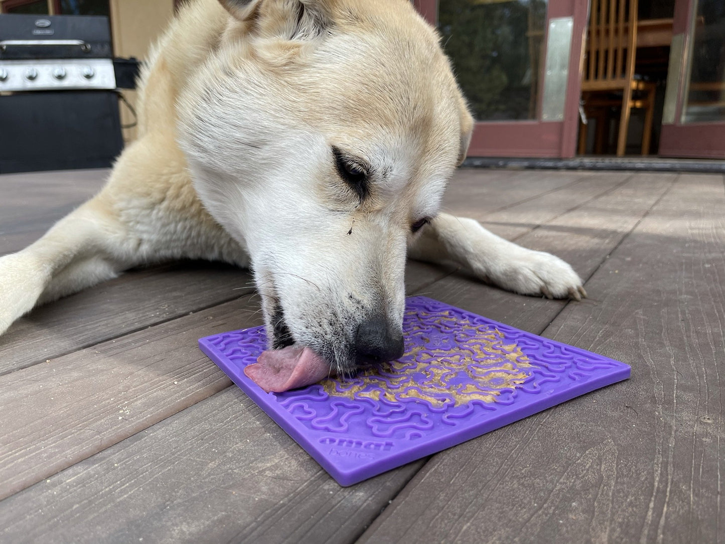 Soda Pup Emat Bone Lick Mat