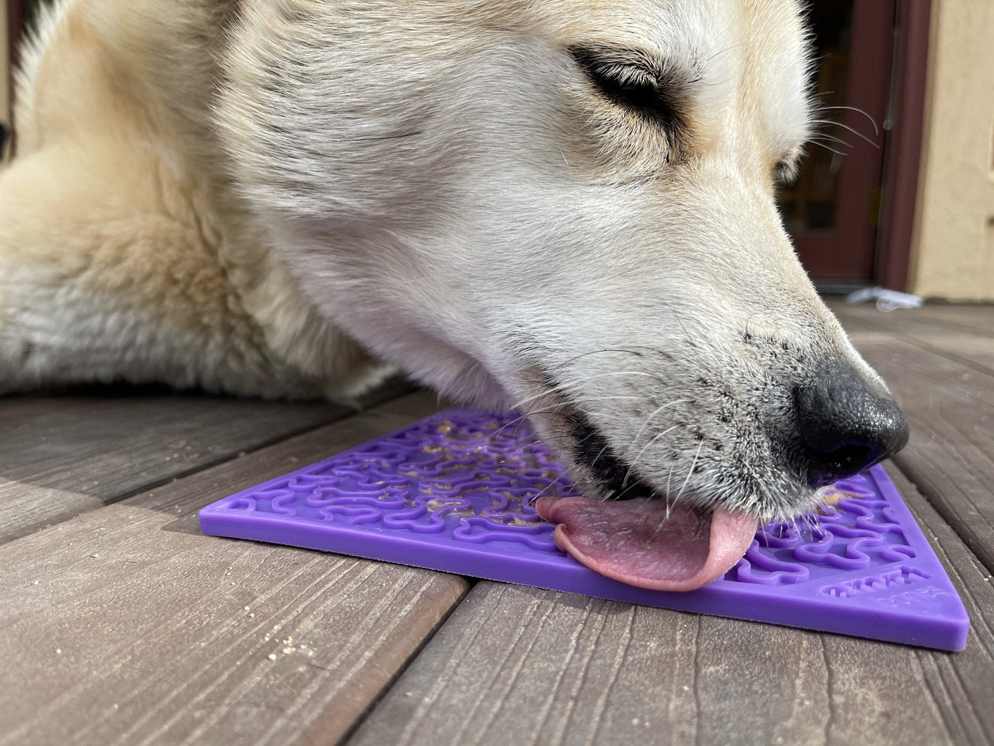 Soda Pup Emat Bone Lick Mat