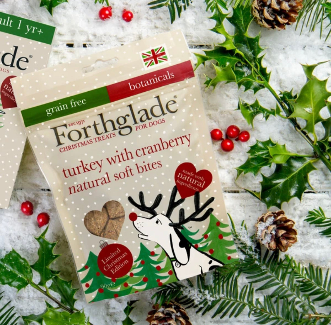 Forthglade Festive Recipe Treats