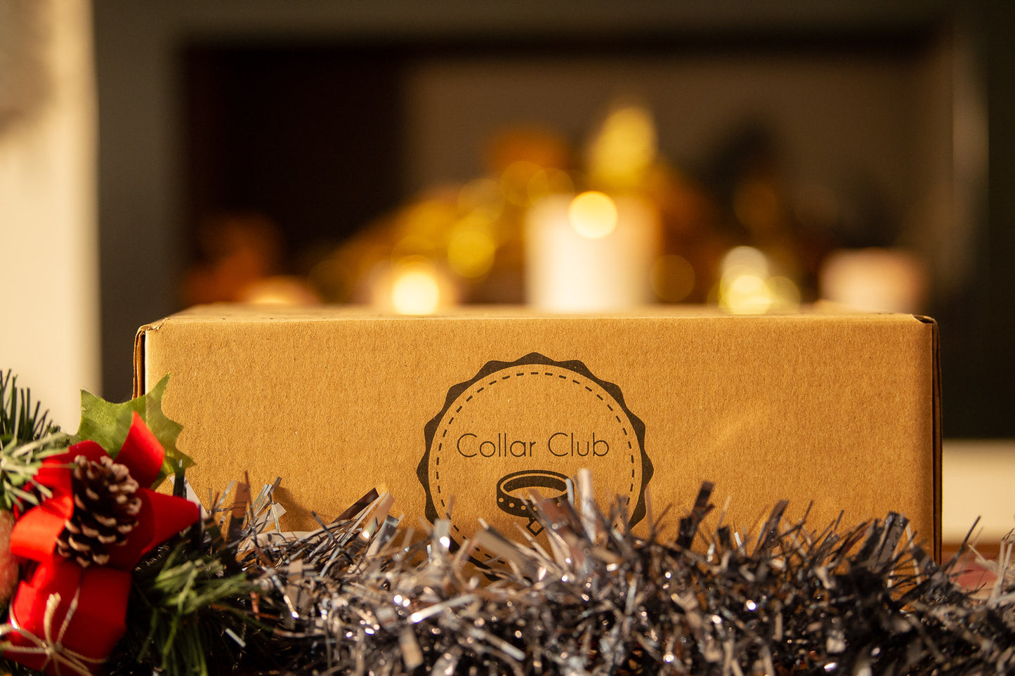 Collar Club Christmas Gift Box